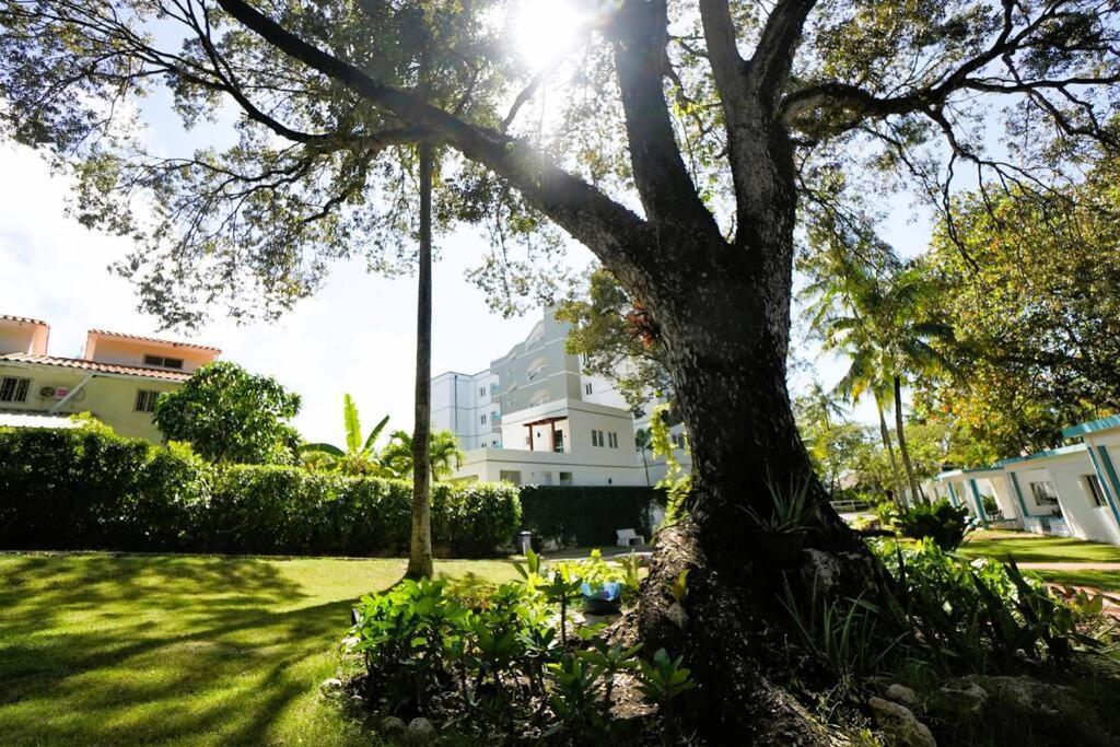 Room #27 At Waterfront Playa Alicia Sosua Exterior photo